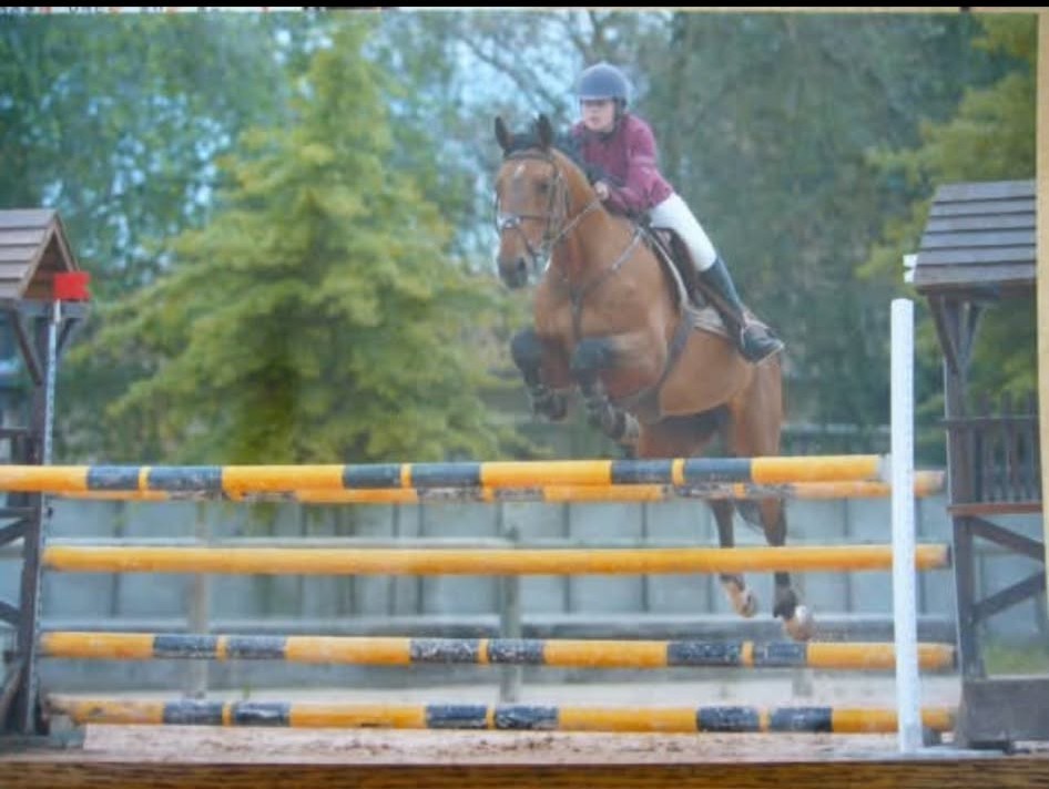 Saut d'obstacle lors d'un cours d'équitation en Saône-et-Loire